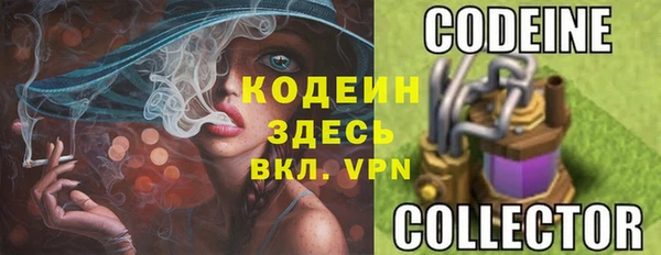 дмт Протвино