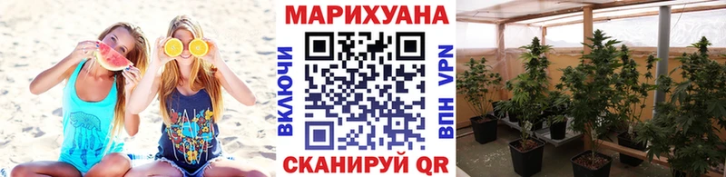 Купить закладки  Усть-Илимск  Канабис гибрид 